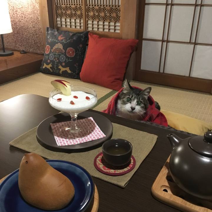 1cad1207 86d5 4152 83b7 91362758779d 1509800178793