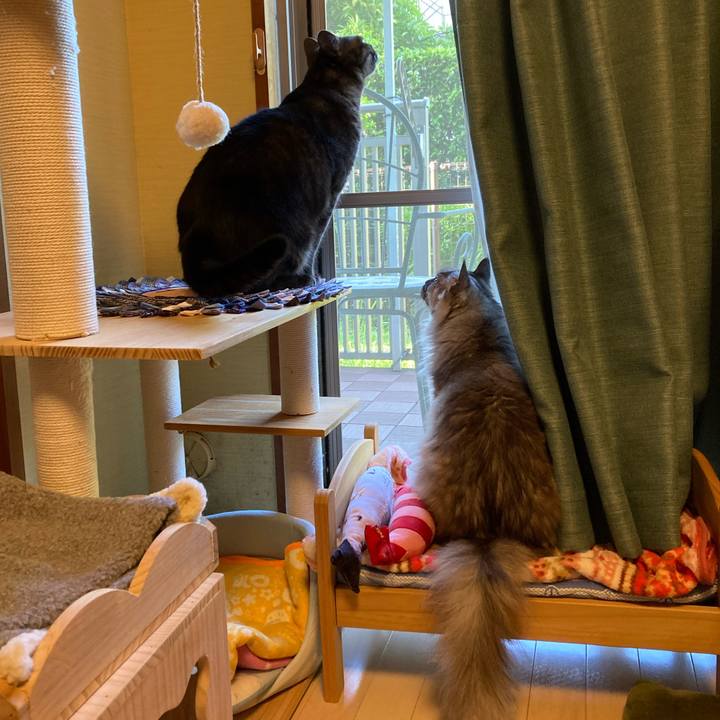 1cad3686 0640 4d5e 81ee 0152362635a8 1717537296301