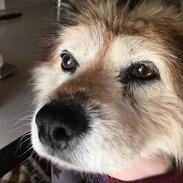 1cad5ea0 8dd9 4bb9 8b34 d2e647234c70 1602636416259