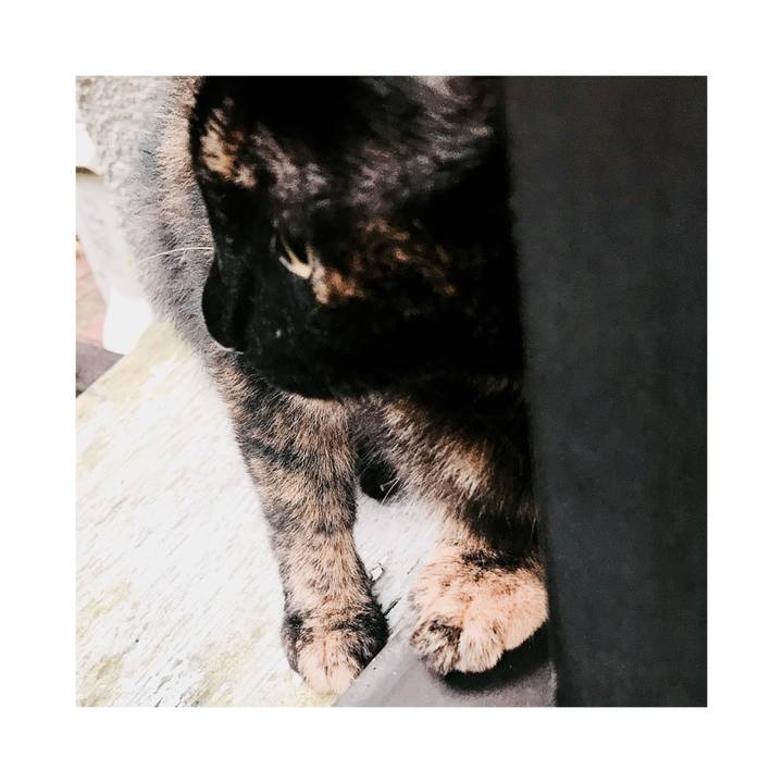 1cad624a 9f28 4c32 bde1 05b21270dd51 1662601835965