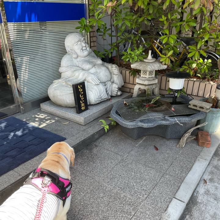 1cad8d1c c780 4eed b094 bdc8b2346cfb 1628155975549