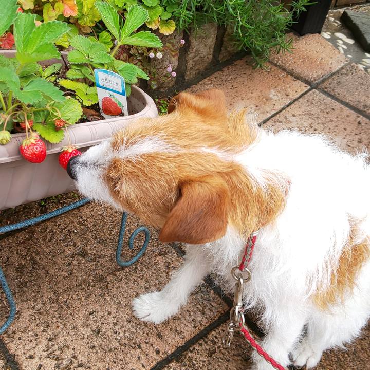 1cad9904 4f66 418e 9459 29b1cdefaa8f 1556150140748