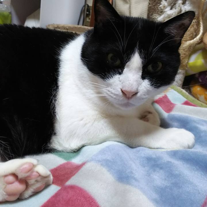 1cada5ab a6b3 447f a0bc a6e0d8736f7b 1555969734081