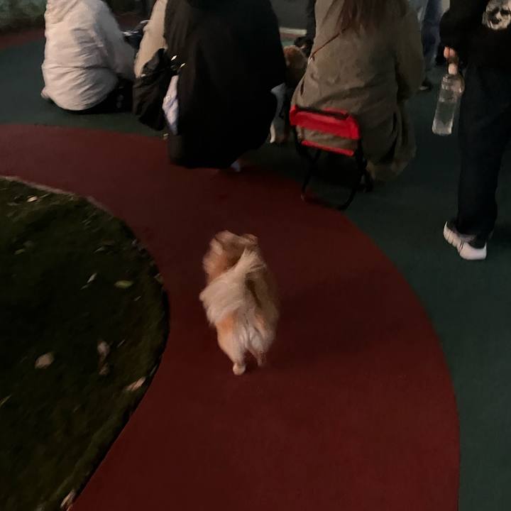 1cadcc28 97dc 4cec bac4 359b4e08f875 1764174136491