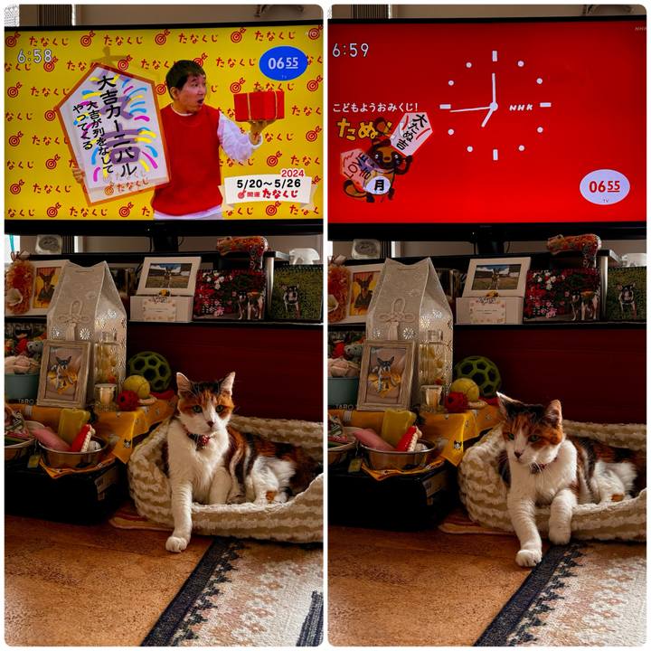 1cade298 1feb 407b 8362 b30d105f92f7 1716156871934