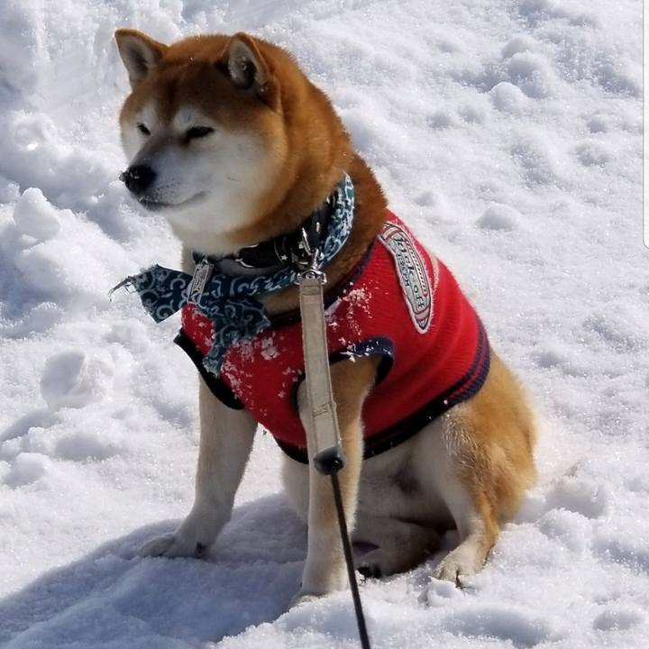 1cade624 4ce4 4143 9536 5aed90a8480d 1565331268367