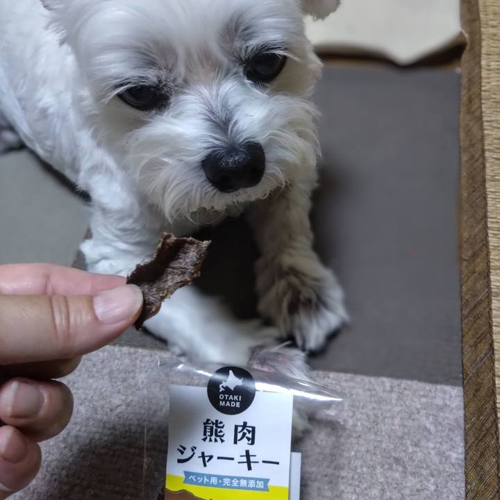 1cadfa8f 6267 482f 9d41 060c1a44e242 1724066772170