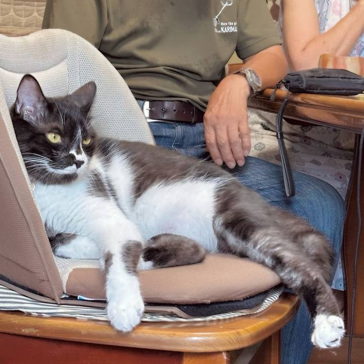 1cae148c dedd 40c1 bac8 e836278b4cc1 1755246347508