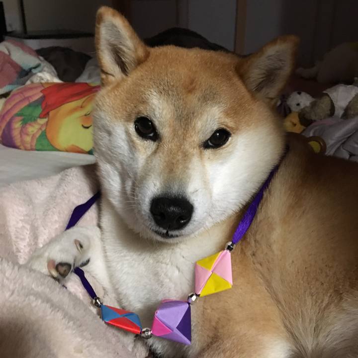 1cae2d5a 25c1 4ebe b683 6c75d7d7046c 1517655569490