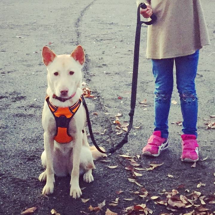 1cae558e 9e7d 4ebb 8285 0e0ea8a43047 1512542382474