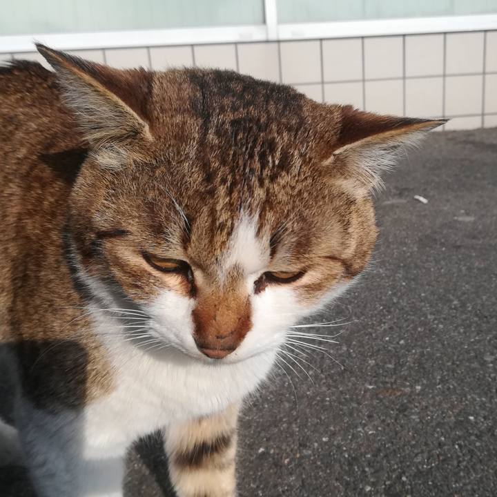 1cae5694 3fe1 452c ac44 82595767b4f2 1522049778064