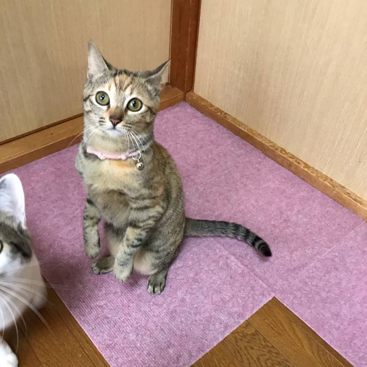 1caebfc6 963d 4cb3 8507 101e8f7ce5e3 1548643081082