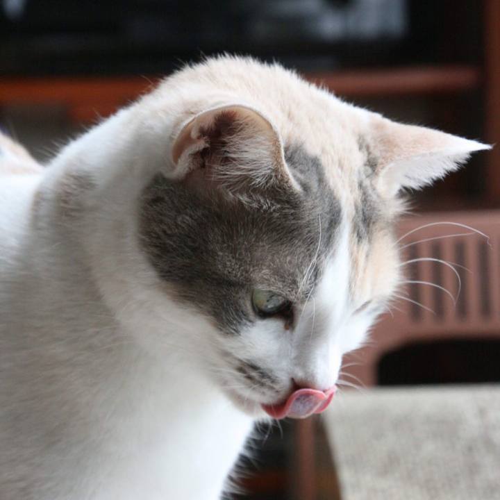 1caec60b 85ad 4245 9c99 577491f14059 1552721727597