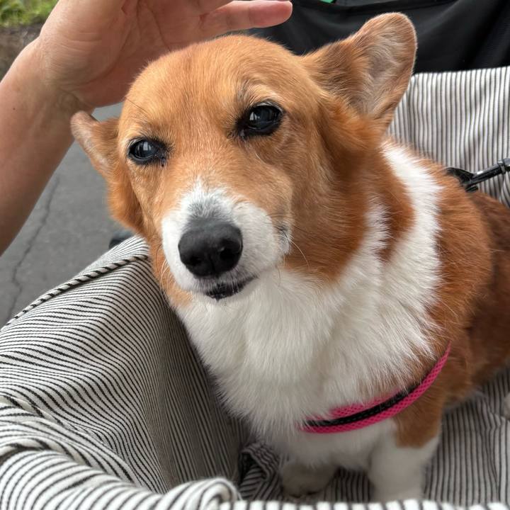 1caec715 64d7 45dd 8c08 562d217d7ddb 1749779547894