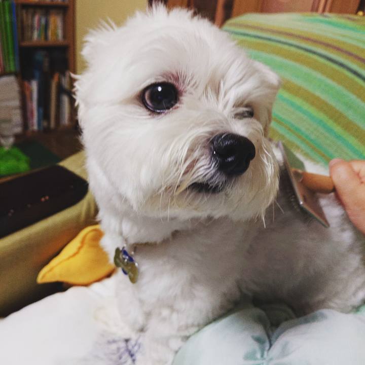 1caedd12 75c3 4868 abc9 fbdb56673f36 1532082292935