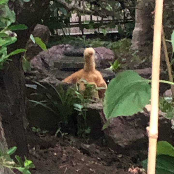 1caeed5f 6b03 4b1e a404 5adc5212fc2f 1591489934224