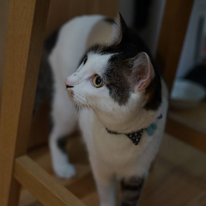 1caef521 445d 48e2 a125 97c1104aef0d 1532389571627