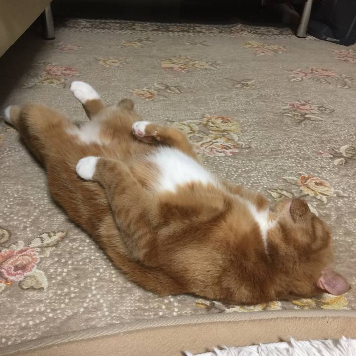 1caf0937 2a86 429f 9547 33f0b6bcb93b 1605356661773