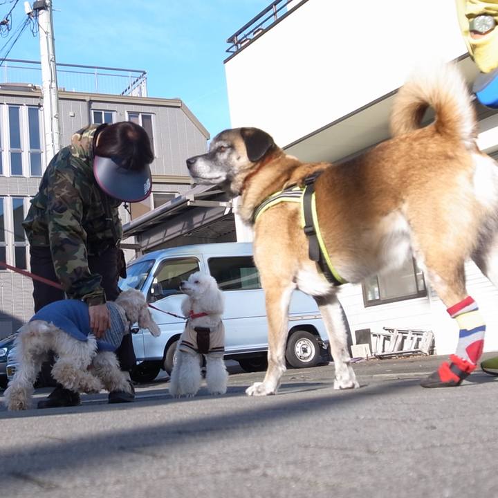 1caf0e4a 102f 477c 81bb c84cdf85ace5 1583371968310