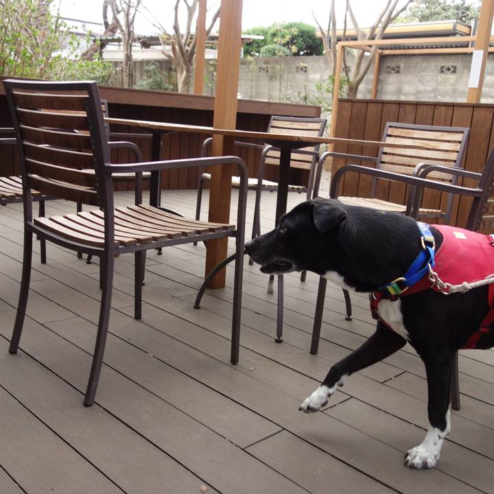 1caf2fd4 7e80 4f47 b3f9 ed841e9e326a 1679356474147