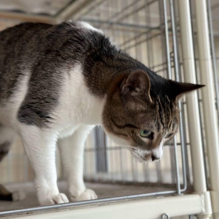 1caf76c3 2cb7 4290 9c17 a748d13c4d0e 1664331371009