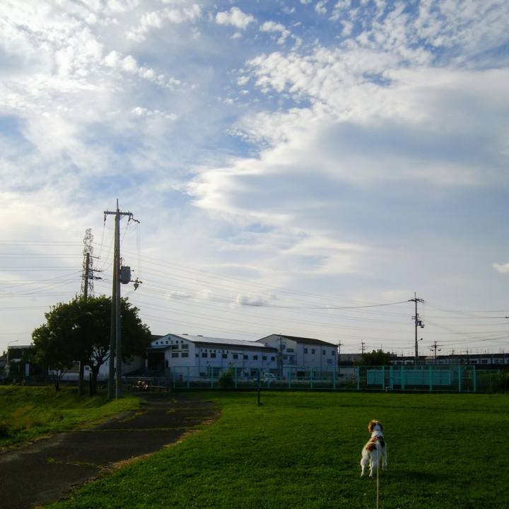 1caf7ed4 0e49 4a8f b665 0eeab308a382 1530185402664