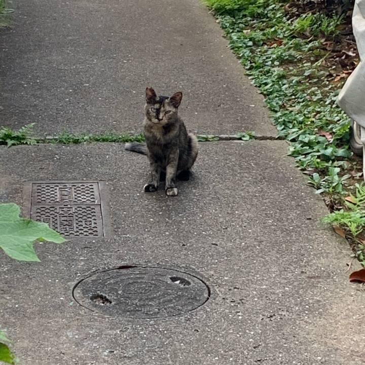 1caf99ce f61e 44b3 a2fe 8c756a0454ae 1597740018724