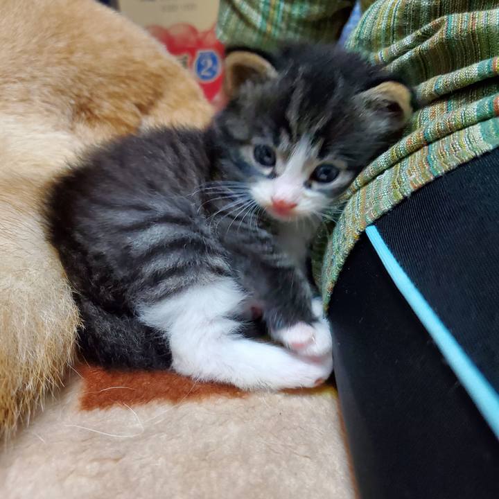 1cafaf4f 3cba 4a63 9311 cfd5513aceaf 1623655050917