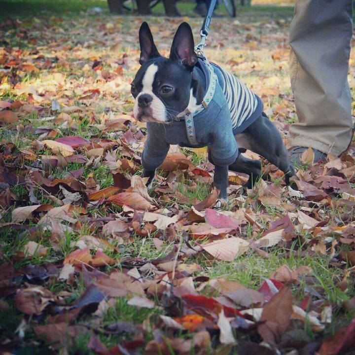 1cafb515 efd4 4f11 b48b 905f7d51decc 1511699103725