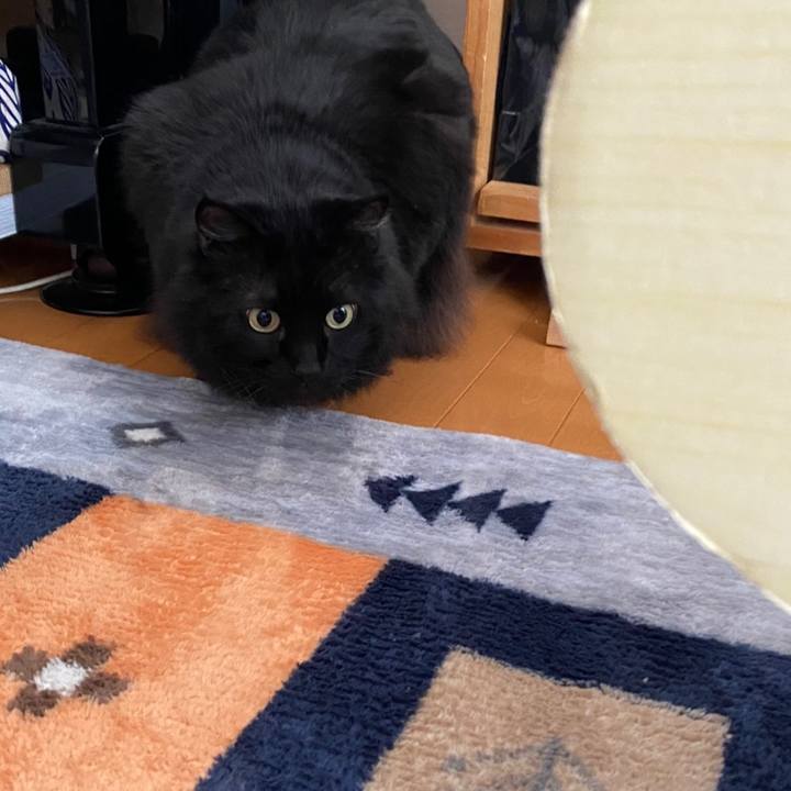 1cafc6b6 3984 4fae b88d f3066ef392d3 1610445676179