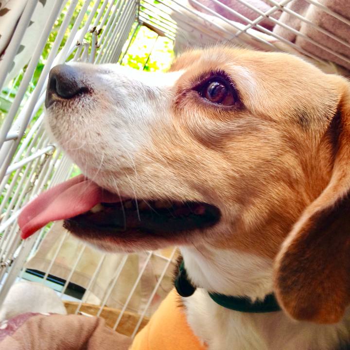 1cafd202 8be9 4259 8cd7 22da8261c207 1747798087624