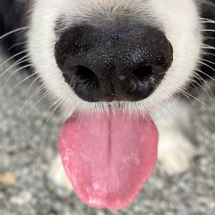 1cafe851 6475 4513 aae1 95f5c6446db0 1684916904218