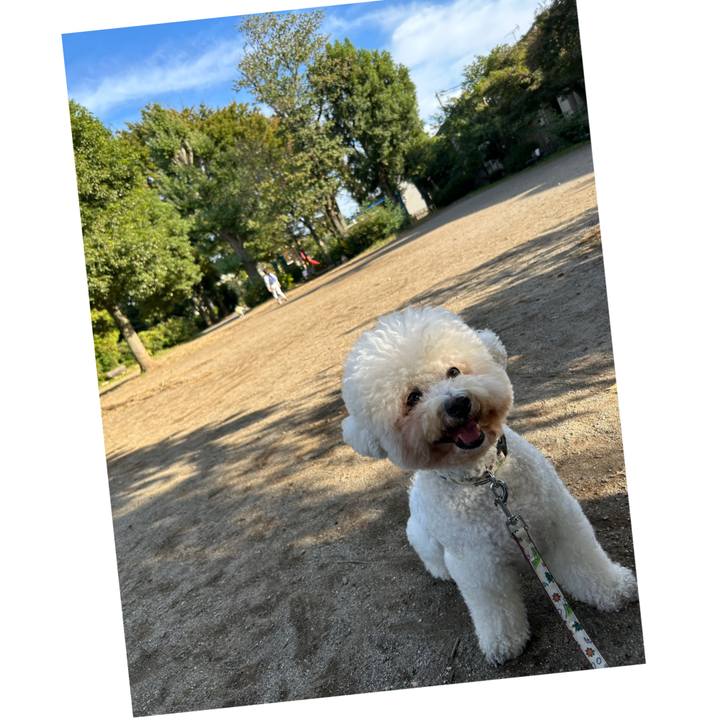 1cb05c41 185b 4a50 9faa 526457ce127c 1762237052031