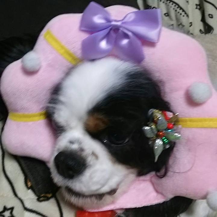 1cb05c8e 3574 44a2 a2c9 52784b208b21 1545927459783