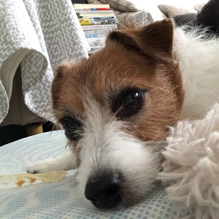 1cb077c2 5084 4142 b141 4cb76dde61de 1624070156646