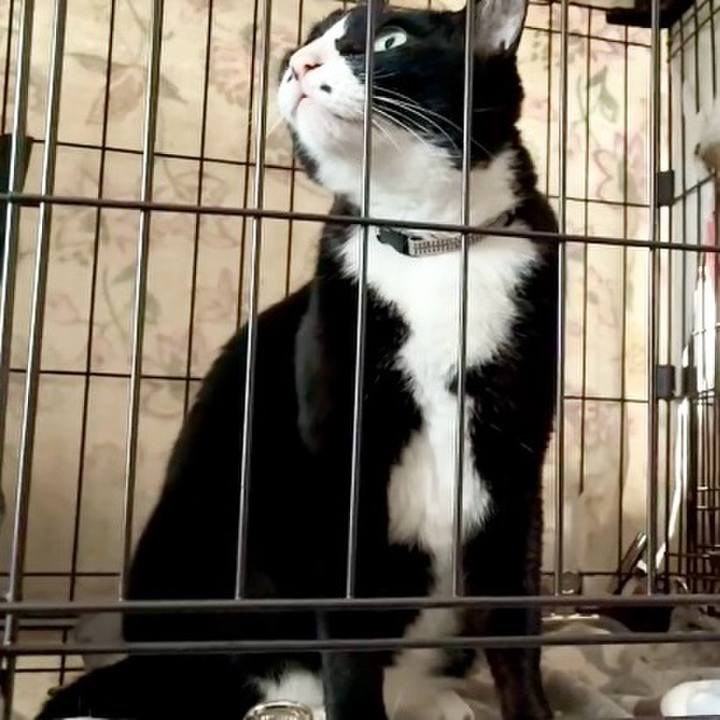 1cb08755 676b 46f9 8478 1813d6899932 1746006000280