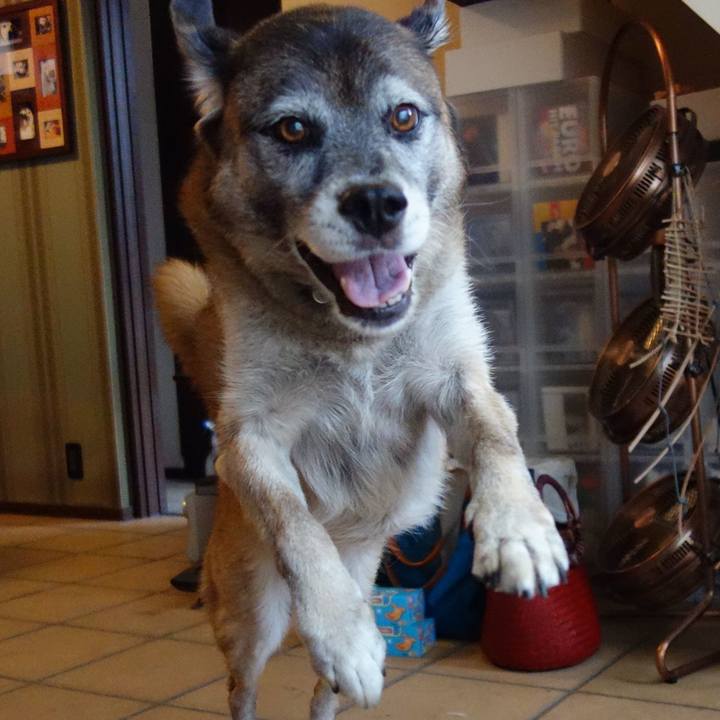 1cb0be1f 84e7 4f63 a2b3 a4ac07cdbdb1 1534466102464