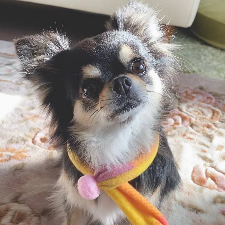 1cb0f222 5fc3 4fa8 9493 916c8909dc4d 1641695713872