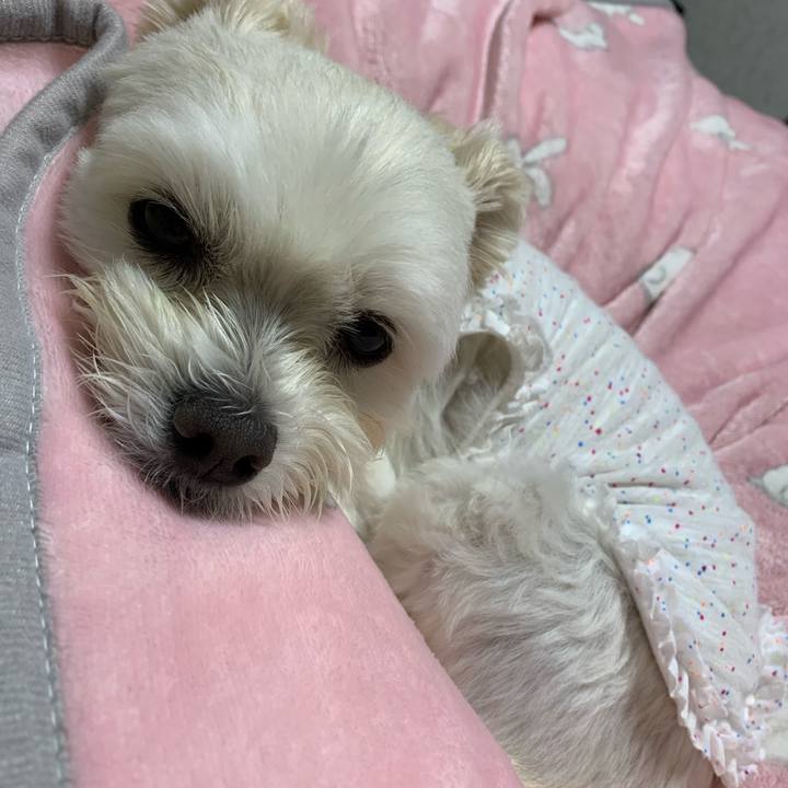 1cb0f601 42f3 4a36 84a5 ad8212b010e7 1603458001006