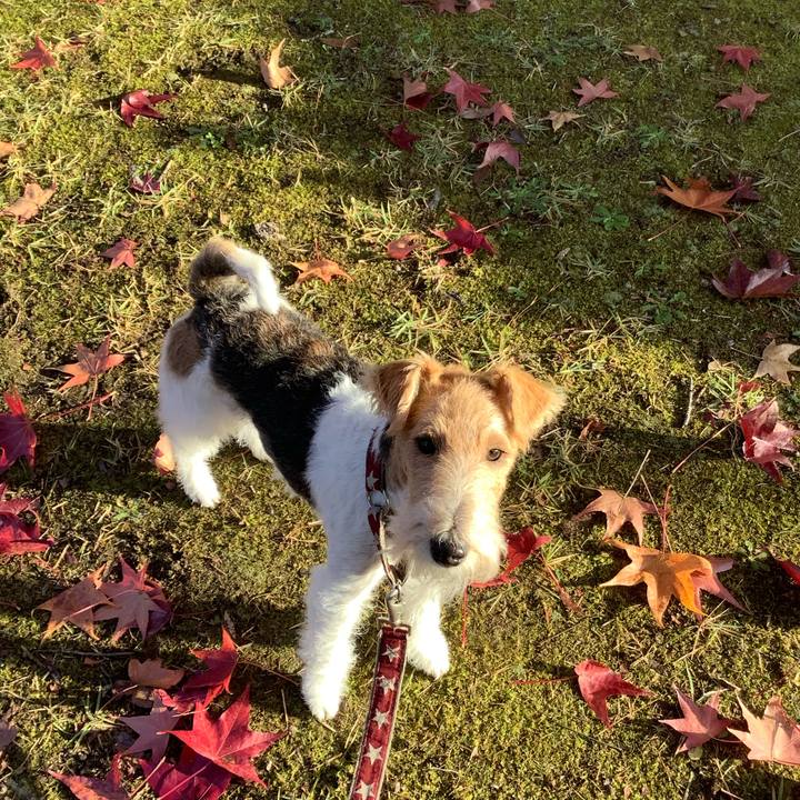 1cb142af 9aa1 4c34 9a78 84823686baea 1762649610187