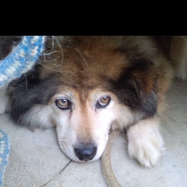 1cb14c0c 1673 4fac a87a 7820b0dd6c97 1648079319448