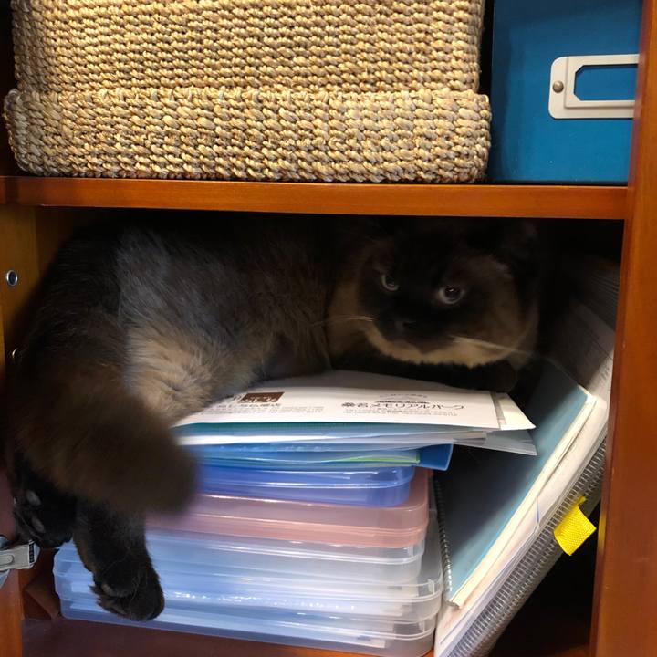 1cb166d5 ad5e 470d aa37 efa2073ed9e5 1621137203494