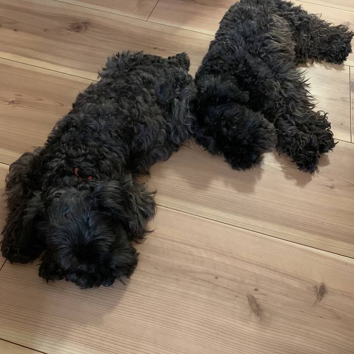 1cb1696a e69a 4d72 8500 3882993cba10 1590551871967