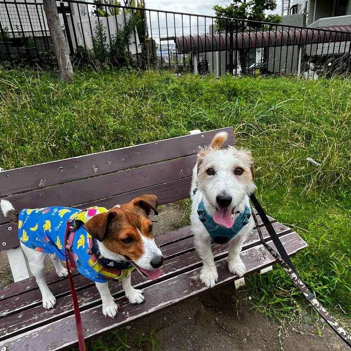 1cb175db 5d90 4f81 be34 b6f70afab3ad 1750762725369