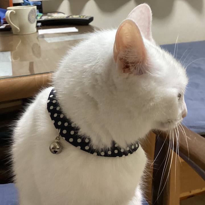 1cb18056 f5ae 4a16 b4ac 826383c10a49 1694851116745