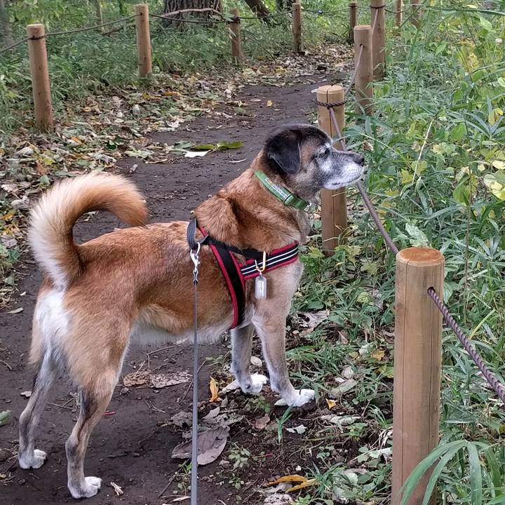 1cb18563 a542 4e30 b58e 0889bf5fc535 1509496639101