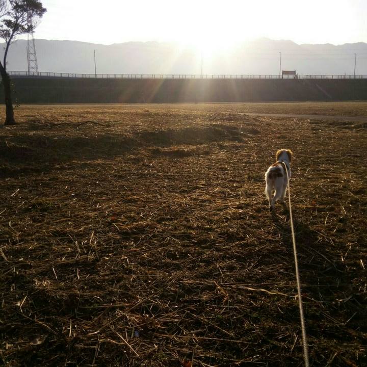 1cb1bd98 03e1 4e49 9f5b 67a1cab8b268 1520124531281