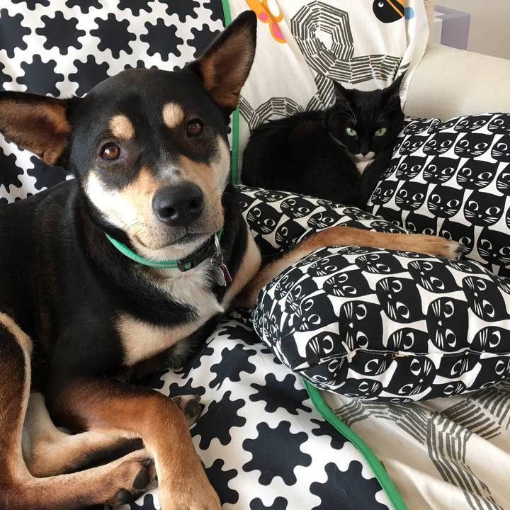 1cb1c85b 8c4b 4eda bb3c e2dcb92c44de 1518360987079