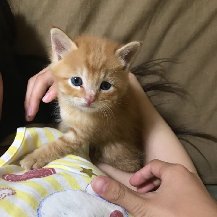 1cb1d3a8 f0b3 456b 98f1 cb63d5d92fe8 1628839522859