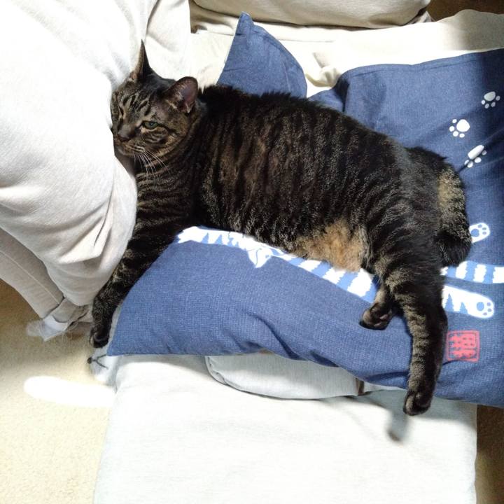 1cb1e887 92e6 4060 aae0 c0a3e007aab0 1759237930977